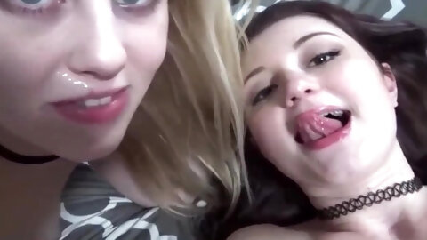 compilation free vids